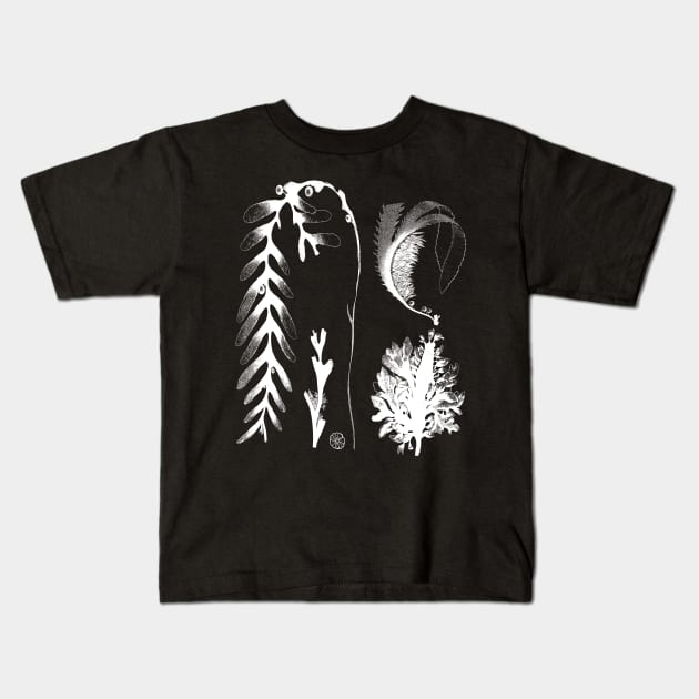 Botanical Seaweed Kelp Kids T-Shirt by encycloart